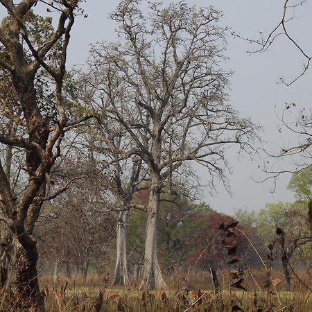 Babai Resort Pvt Ltd Bardiya Exterior foto